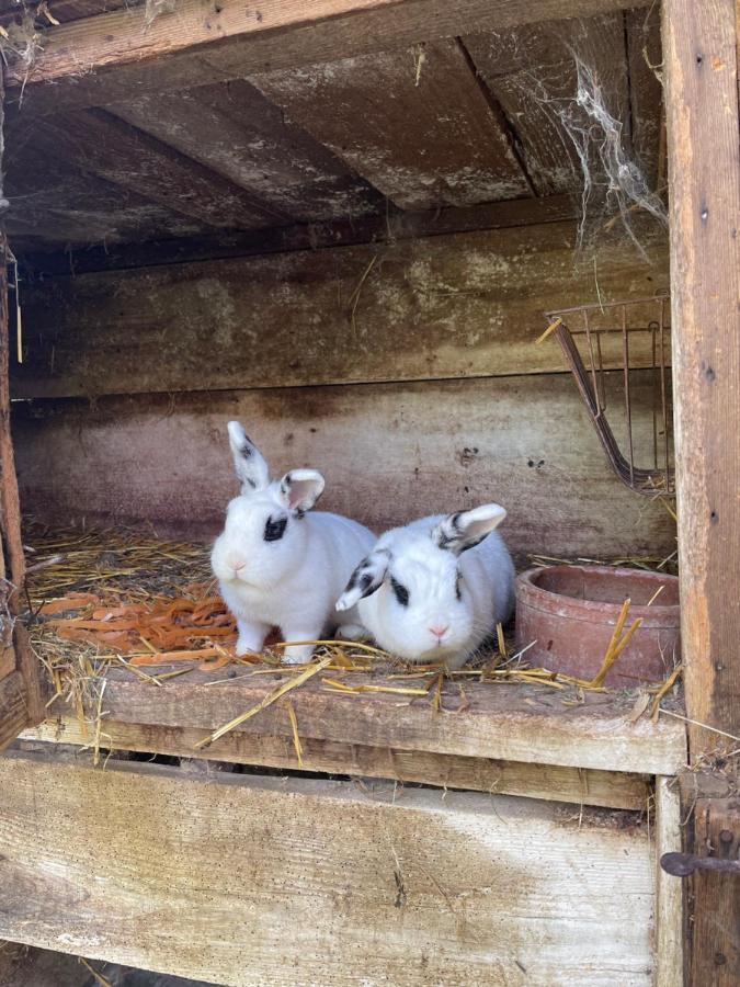 Apartmán La Ferme De Marie Rangen Exteriér fotografie