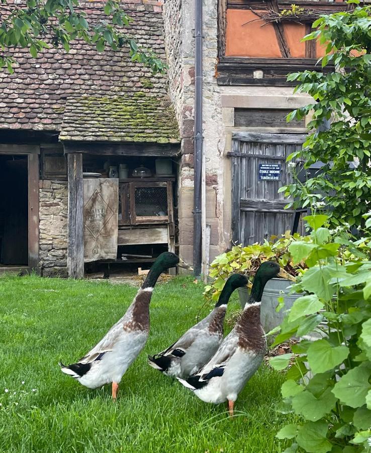 Apartmán La Ferme De Marie Rangen Exteriér fotografie