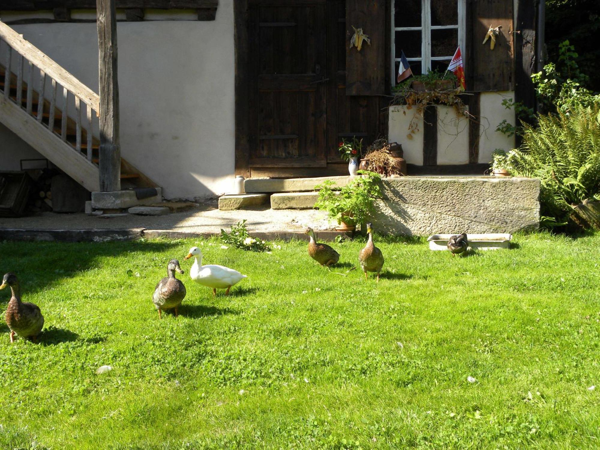 Apartmán La Ferme De Marie Rangen Exteriér fotografie