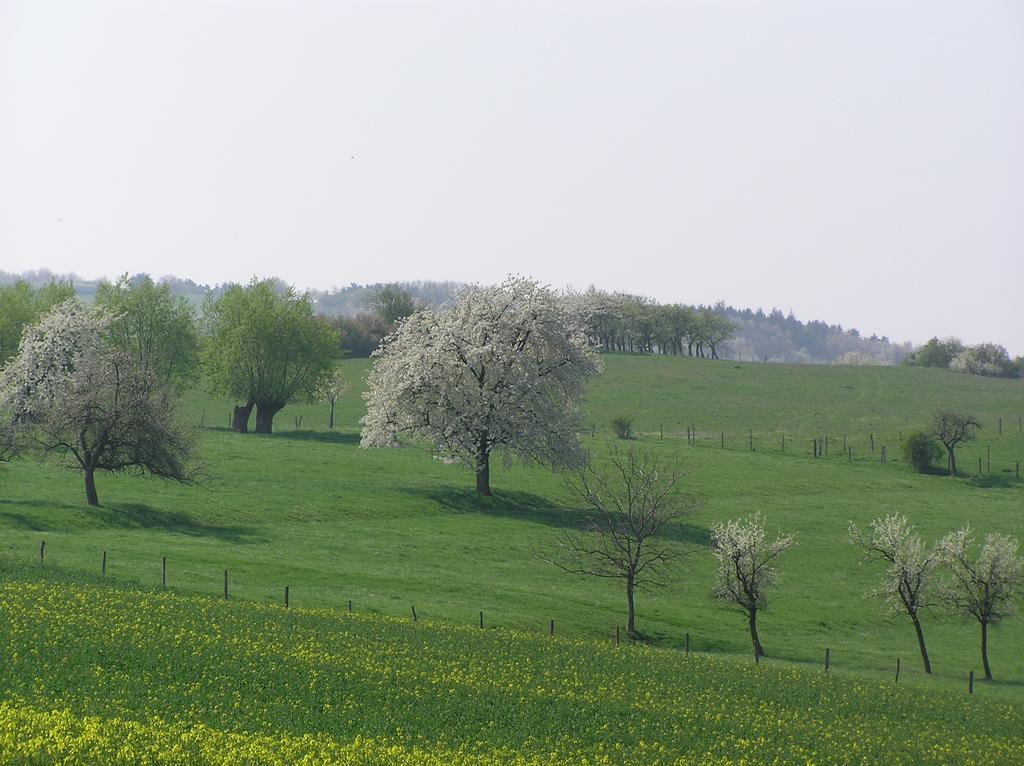 Apartmán La Ferme De Marie Rangen Exteriér fotografie